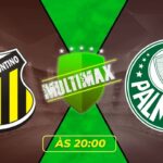 Assistir Novorizontino x Palmeiras Futemax AO VIVO Online HD 20/01/2026 no celular e PC