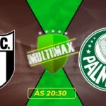 Assistir Botafogo-SP x Palmeiras Futemax AO VIVO Online HD 01/02/2026 no celular e PC